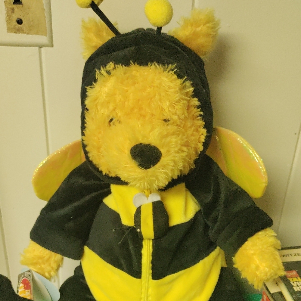 Disney Winnie The Pooh Bear